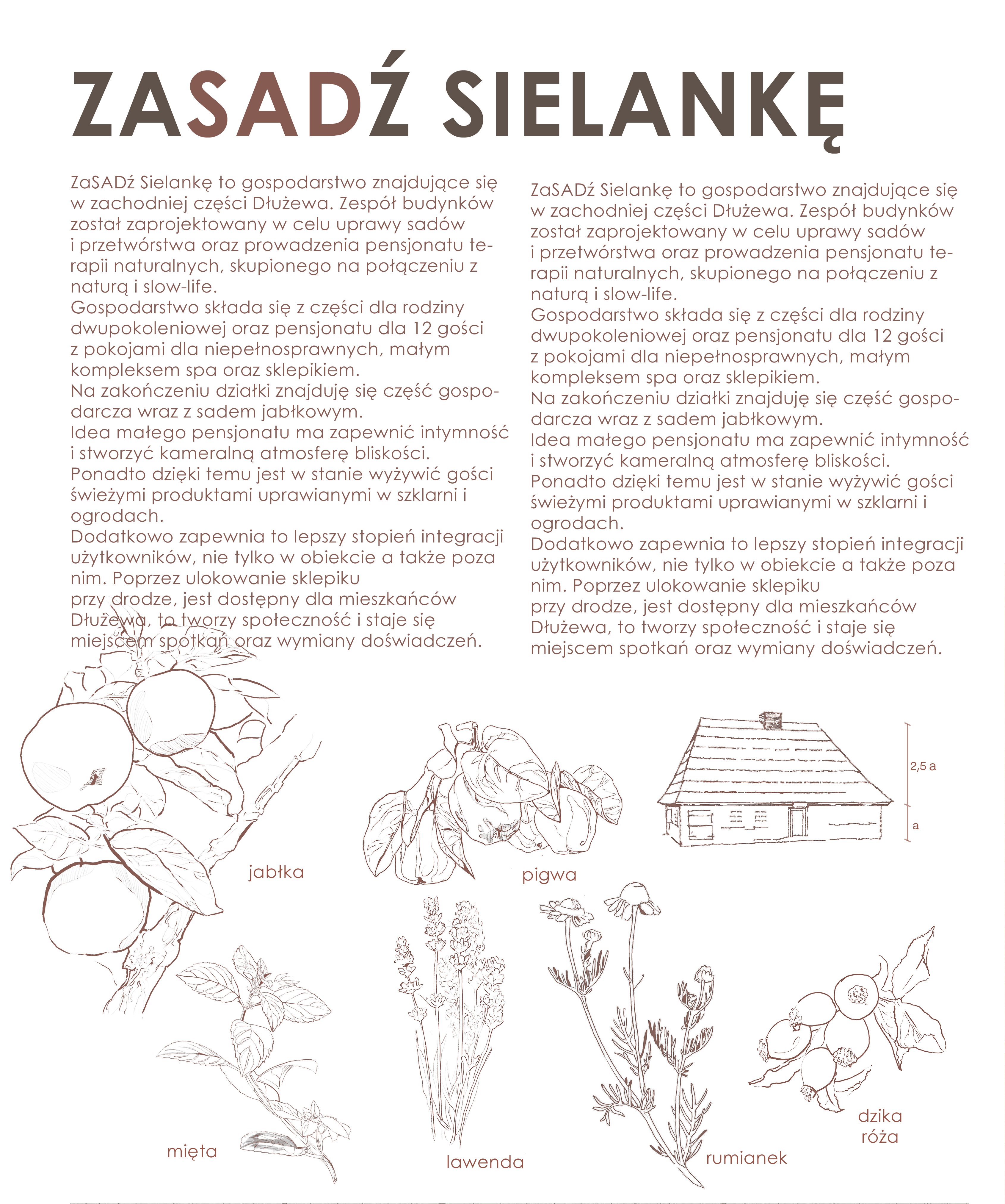 InfoWstepne1
